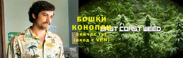 ешки Арсеньев