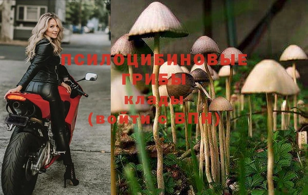ешки Арсеньев