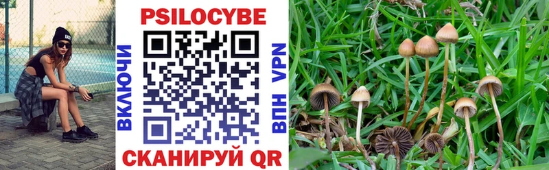 Купить где  Сосногорск  Псилоцибиновые грибы мицелий 